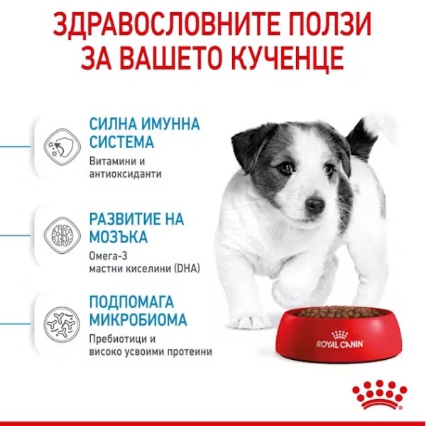 Royal Canin Puppy Mini - Пълноценна суха храна за подрастващи кученца от 2 до 10 месечна възраст от дребни породи
